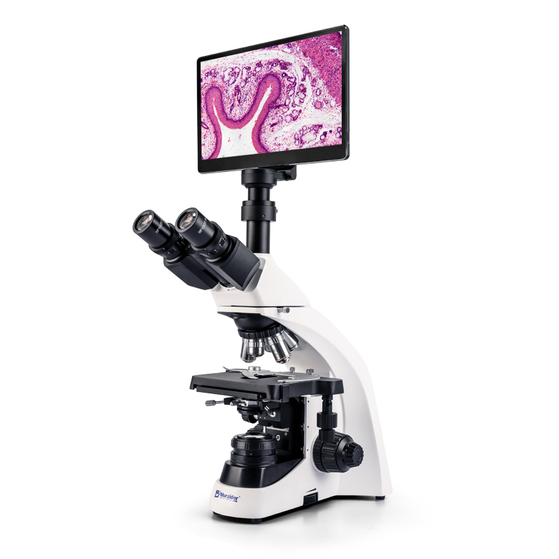 【智慧實(shí)驗(yàn)室】AI顯微鏡互動(dòng)教室全套教學(xué)