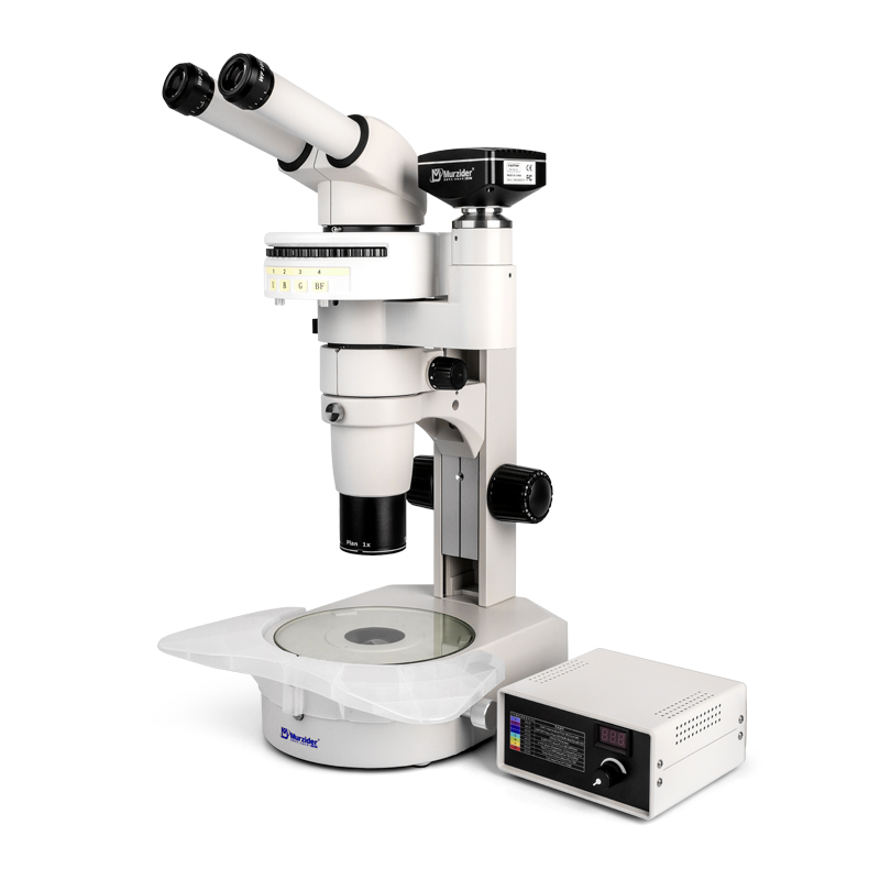 MSD516同軸光體視熒光顯微鏡